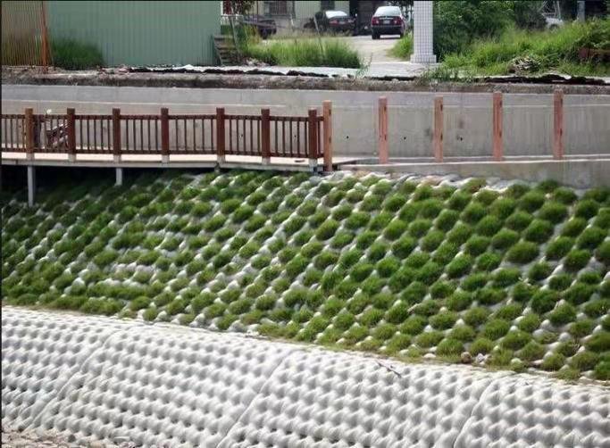 Vegetation on Geotextile Mattress on a slope